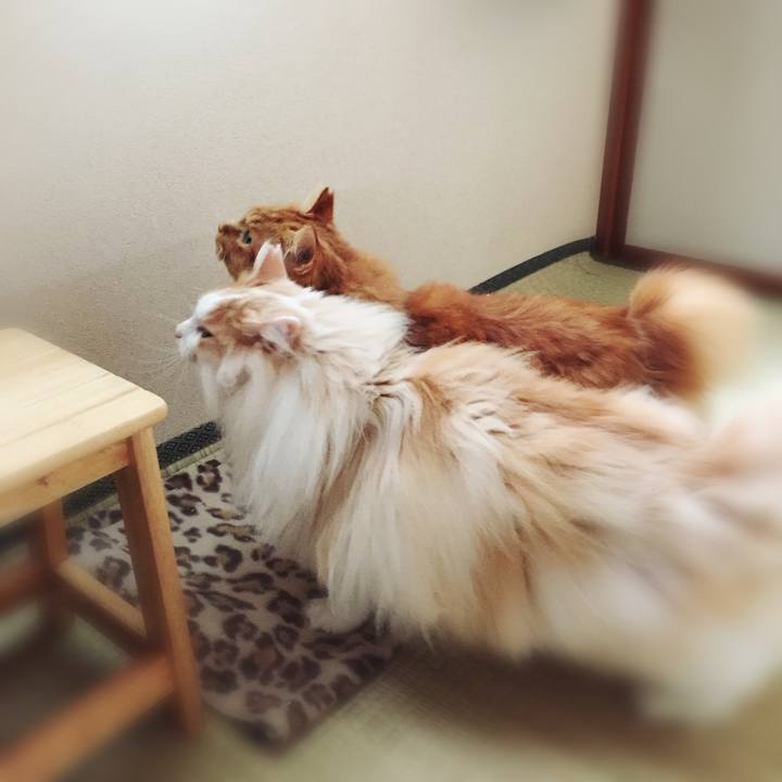 C373aa50 2bc9 44bd b579 2dbca629d22b