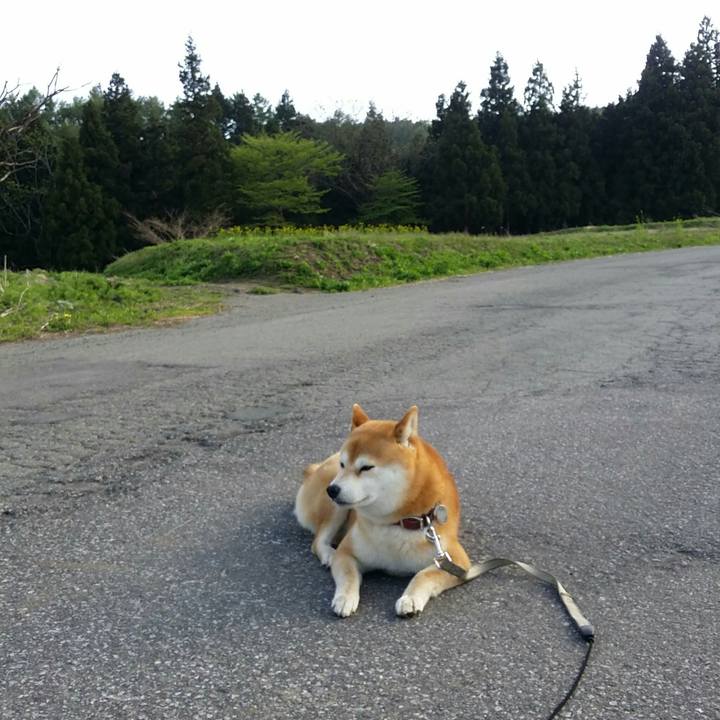 C373c31c e32e 4319 a6a2 117b907e07dc