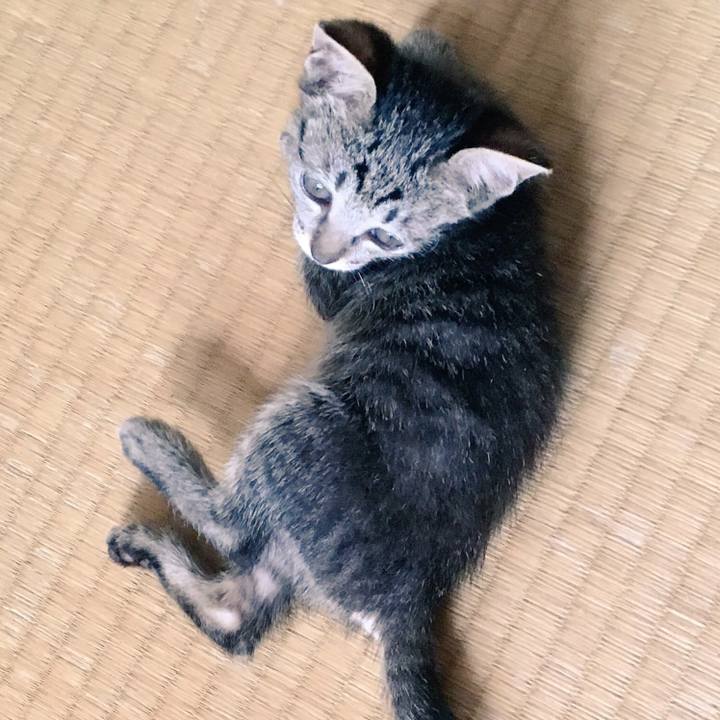 C373ee33 1405 49e7 961b 4130ddea8996