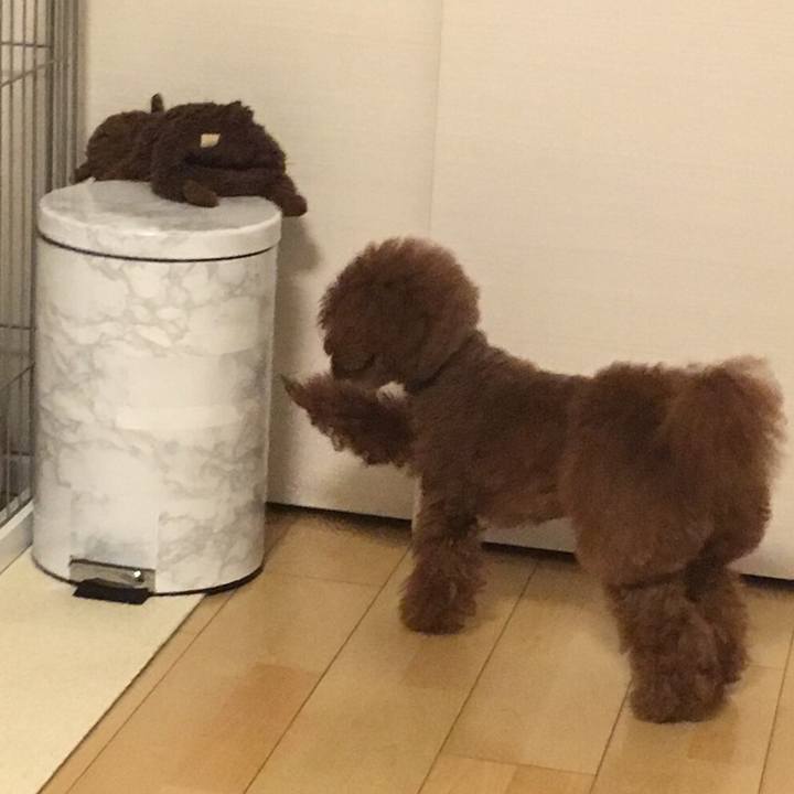 C3750766 ffe4 48aa 9dae ffb88bc53a4e