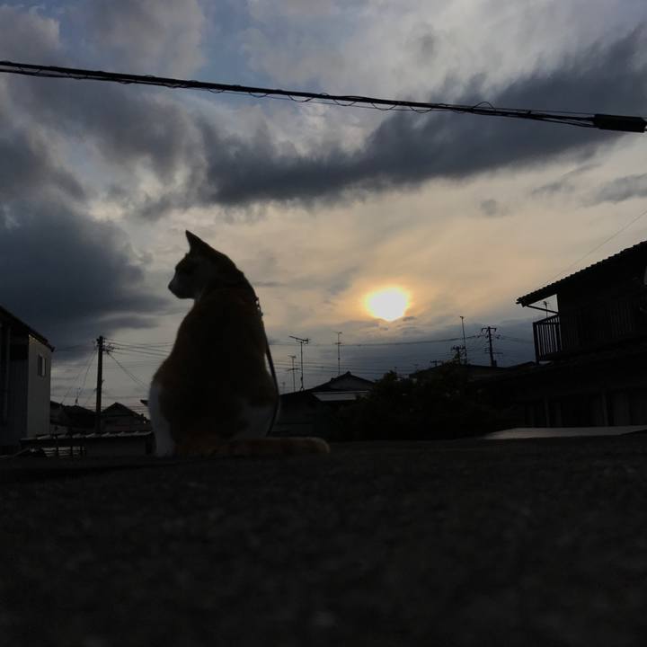 C37510b9 7721 4193 8045 8dc8884aab60