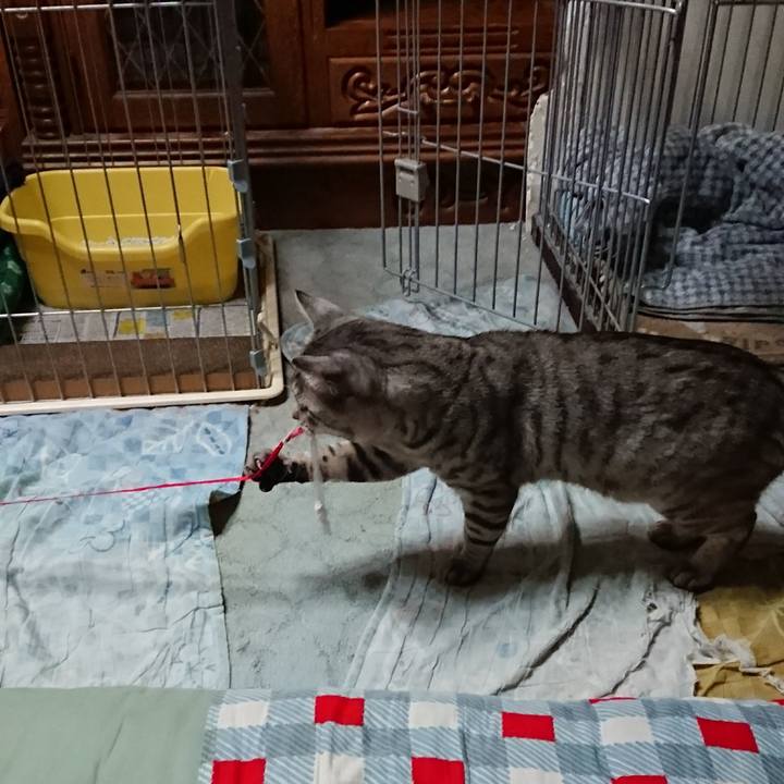 C3758671 06e7 44b8 83c5 172d9cefdcf7