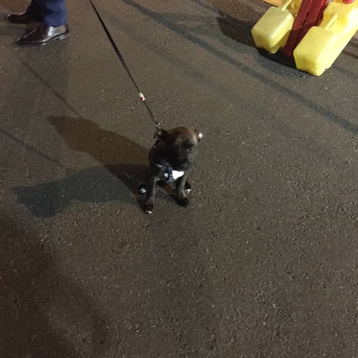 C3761bd3 9aca 4ed7 b491 d3e4633a276d