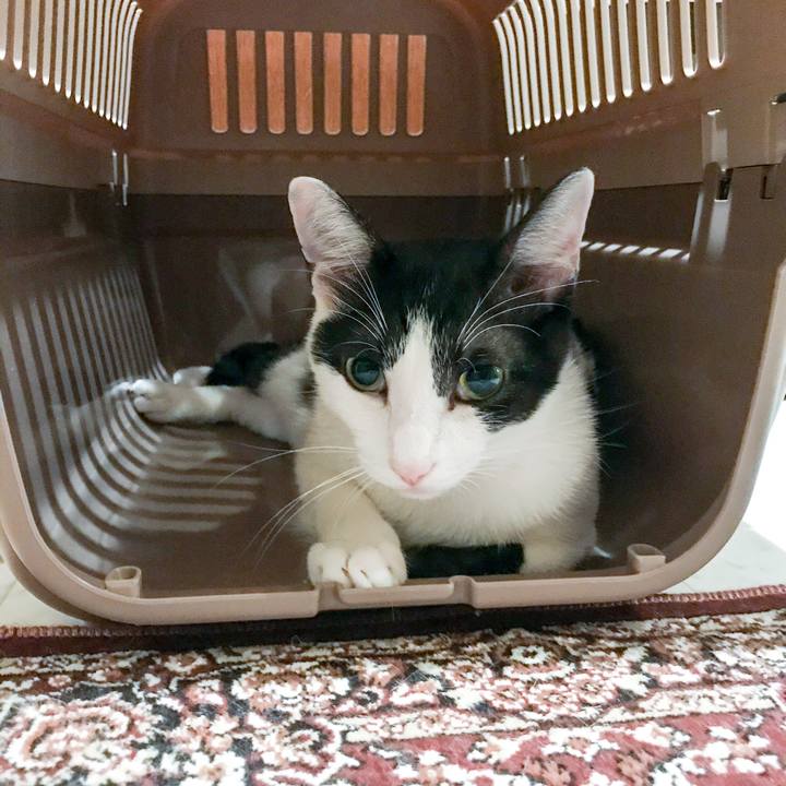 C376e096 22aa 4e19 a4ff 0229c0348568