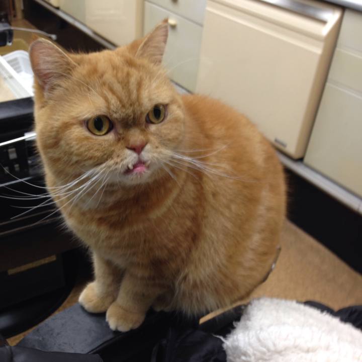 C3773ede 3455 493b bcd2 454c7edea8ae