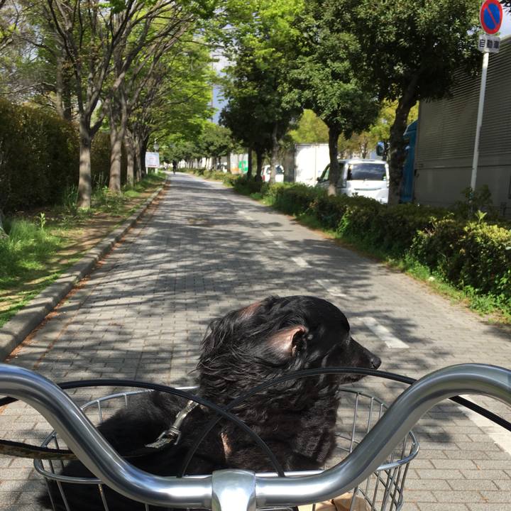 C377a22b e71e 4fa2 9a39 e911af25d371