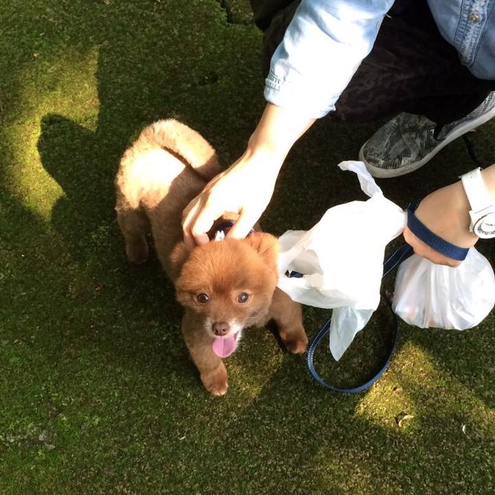 C377b9f2 f8c9 4ea8 965d 2ae9f98003a8