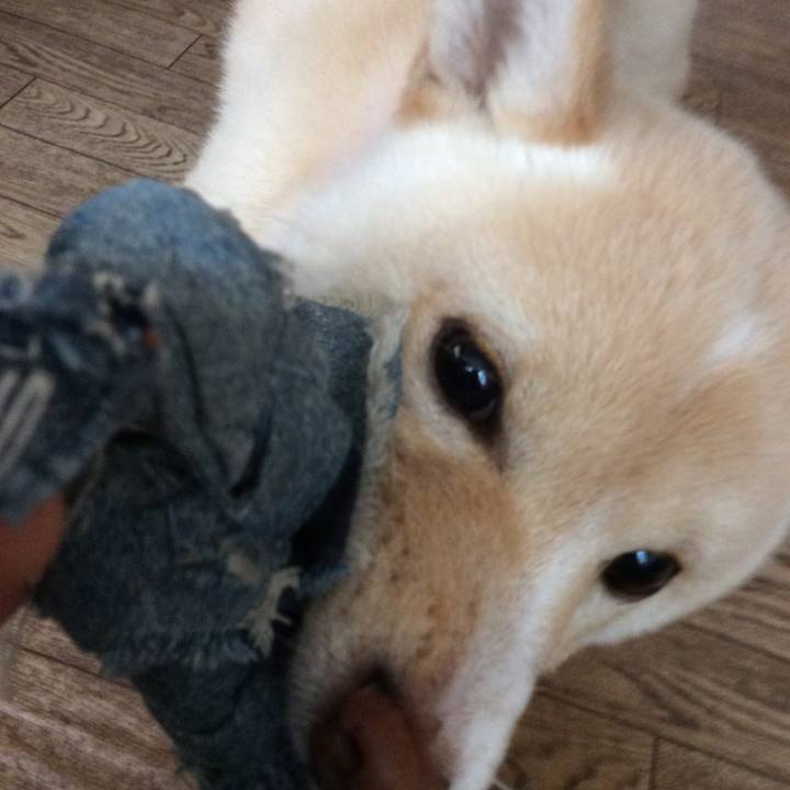 C377c034 b2ff 489f b555 f1b6a76a8801