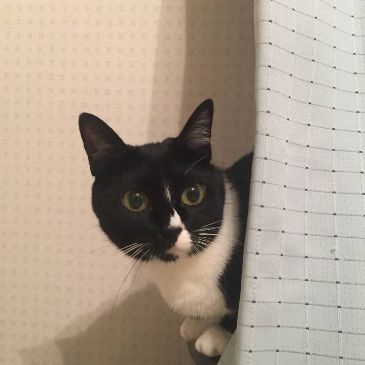 C377f17a 4510 4a29 b7a0 897cf8140c45