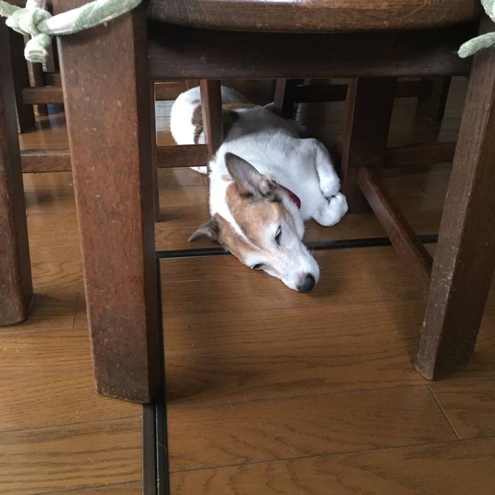 C377fb50 2a24 449f 969a 378a851eb715