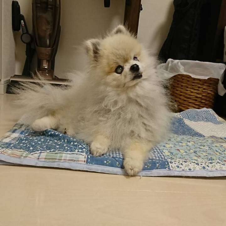 C3782057 f668 42a6 a51f afc1f621bd9d