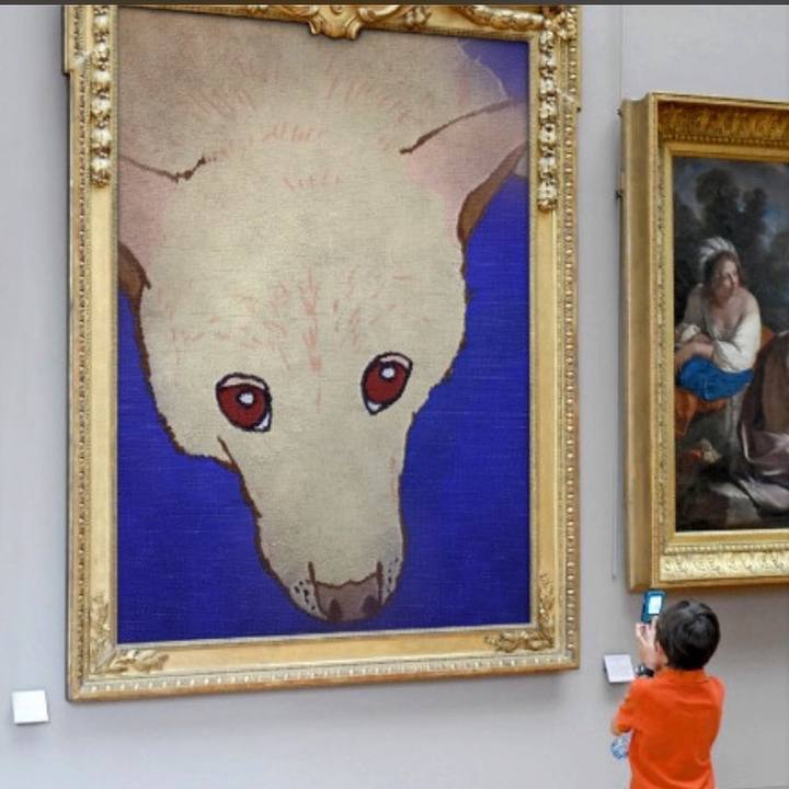 C3782abc 7507 4699 9cf1 5cc2fc71c7bc