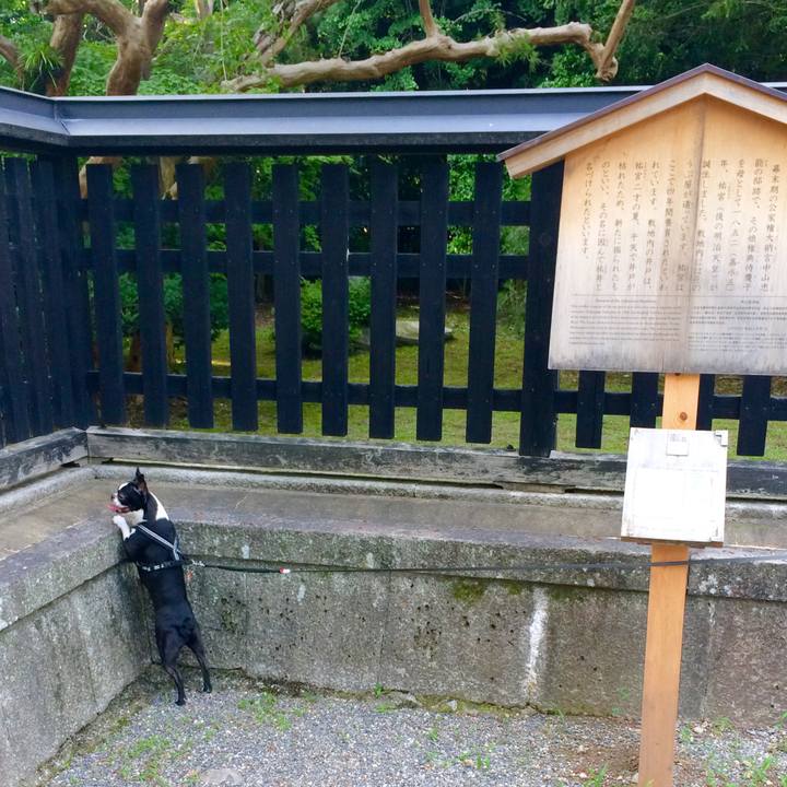 C37843e0 a8ee 4cfa bc8d 186de2538d1e