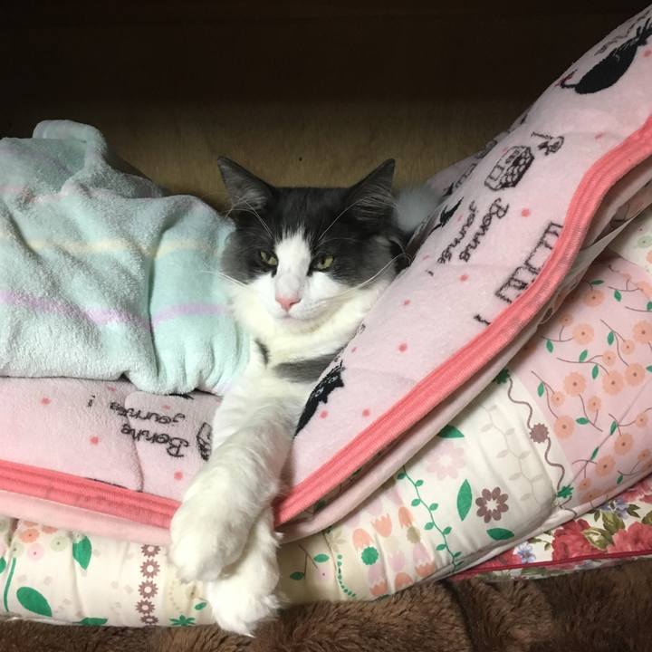 C37862fc 1306 4879 8328 8fe46e3e4ef7