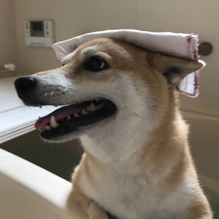 C3787b64 7c53 4570 a56c c7d44051b1cf