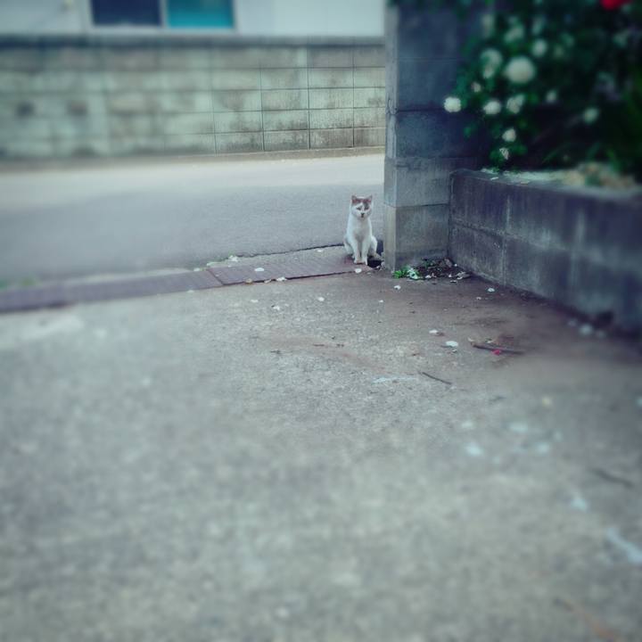 C378dece 49ef 4c47 bf32 429cd1a1251b