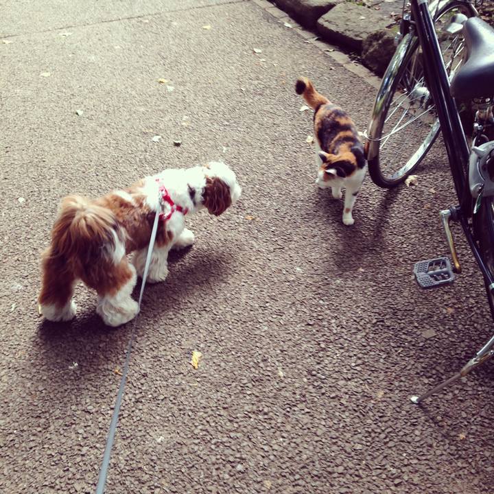 C379688f 1ebf 4f68 bb2b 0f6f7b3fd5ae