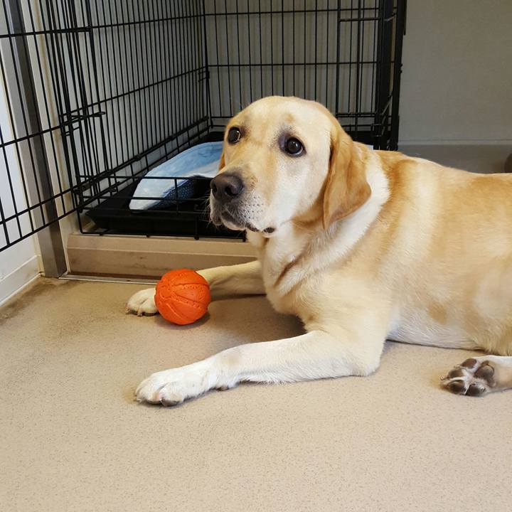 C3798f48 95cd 4277 b1e9 7a6f7f6ebf1b