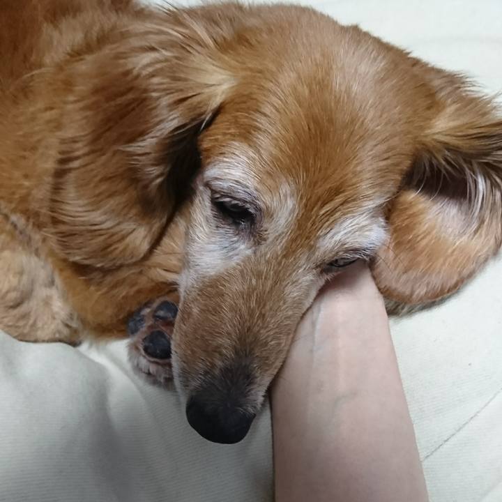 C379a70e b4ac 475a b7b0 47b33f044485