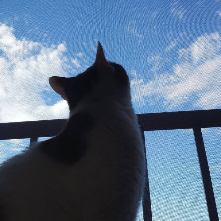 C379d624 8778 4aeb a7fe 3436df7fffc6