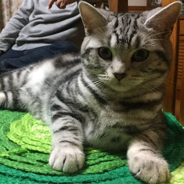 C37a29dd ffe0 42b6 9dbf a06394ab7281