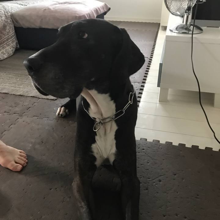 C37a7cf4 9209 4a18 b69d d02f4d05e217