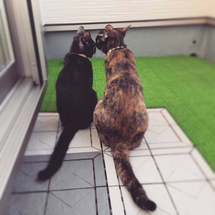 C37bc32f 201b 42ef 9256 89ca4a96bc82