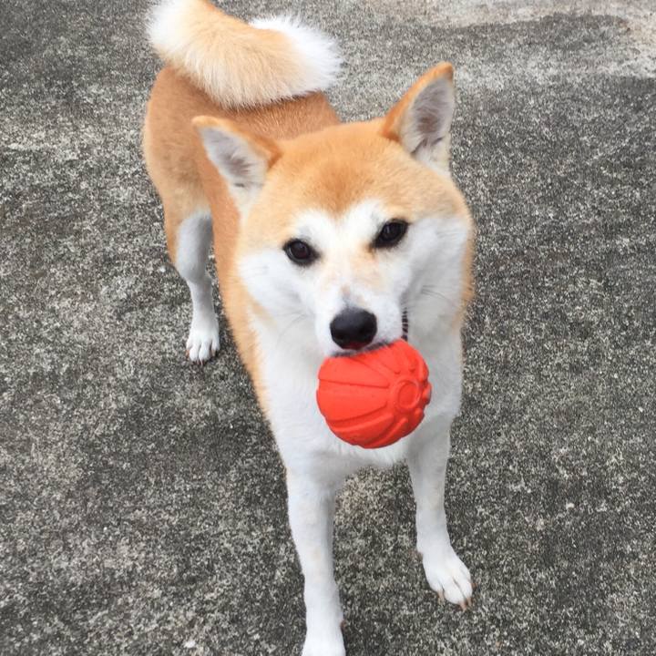 C37c6d3a 0a95 4f13 b642 75b1ff7effbb