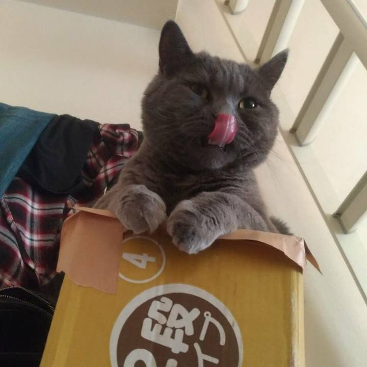 C37cfb37 20a2 425f 8330 af07aeba1a2e