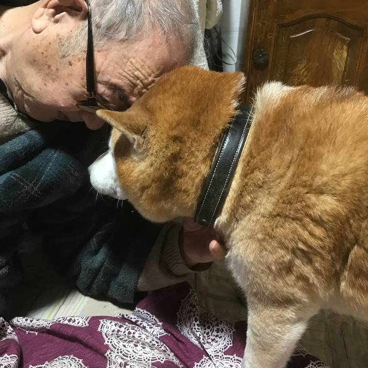 C37d40dc af12 4f06 b04d 98abe6e36fec