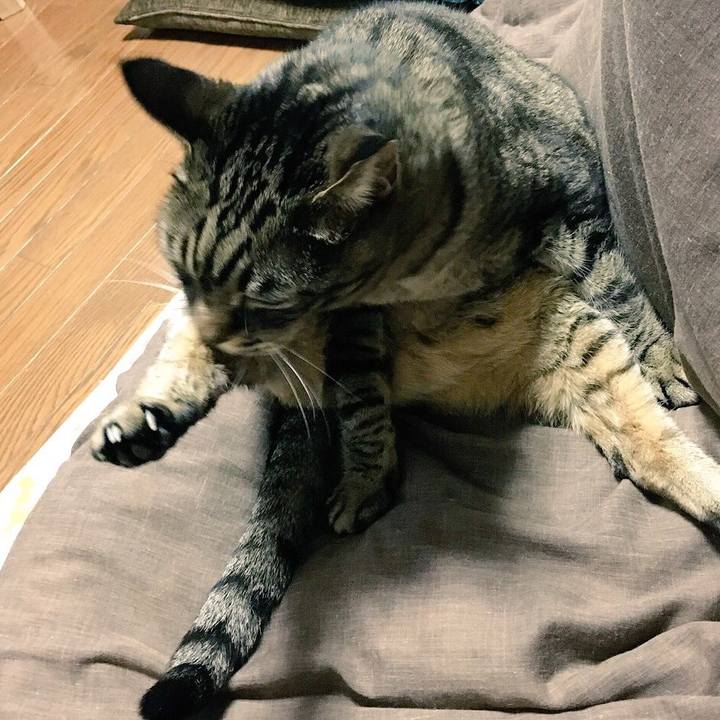 C37db5e0 7e4c 4595 8597 4999da0cbafa