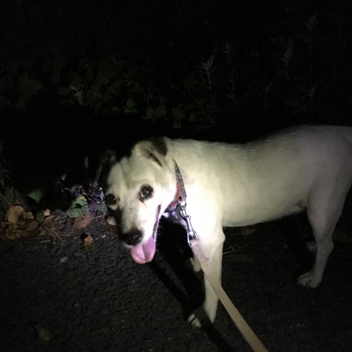 C37df578 5014 4dd9 817d 0c207f364098