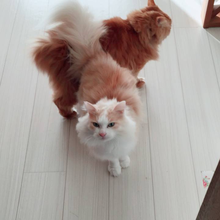 C37dfc3e 05aa 4a30 aa7e 59cc168ad7a9