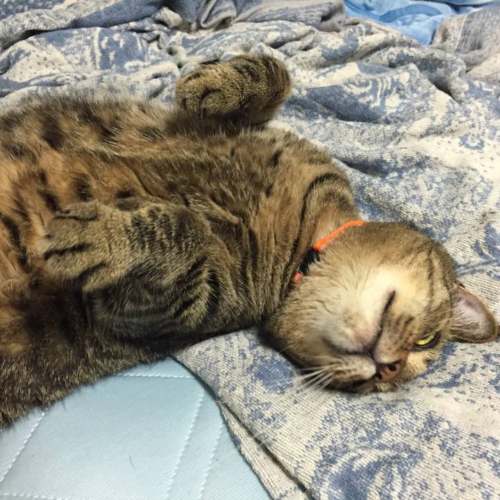 C37e22c0 04c5 4eab b907 4304360e6d42