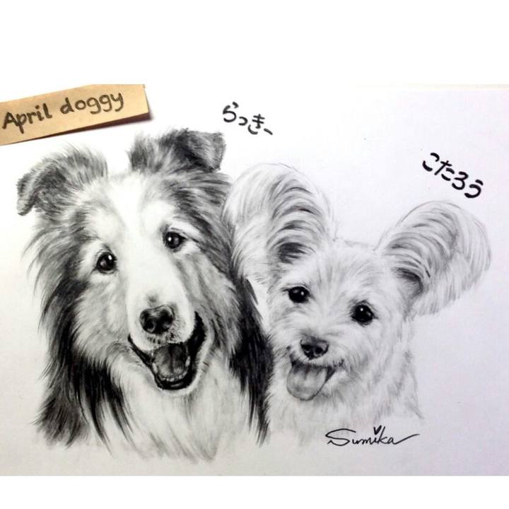 C37e2629 5505 4f40 9f04 3d63c2c3ba79