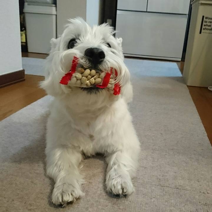 C37e5b9b 2d9a 43fc bb34 fbbdfd99f22a