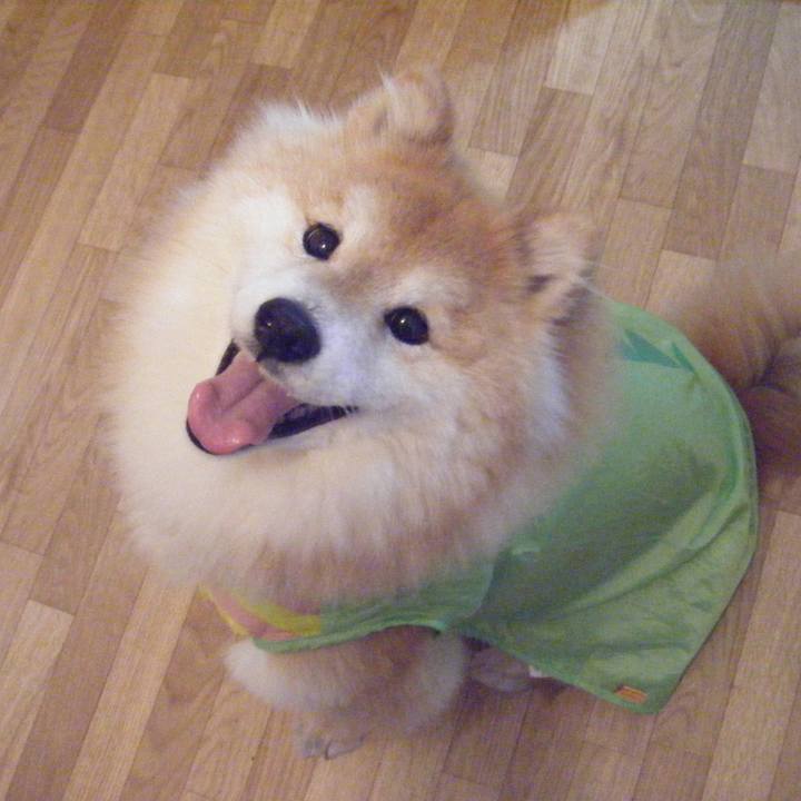 C37eb16a 78b3 44fd 99a0 e57ea1d436a6