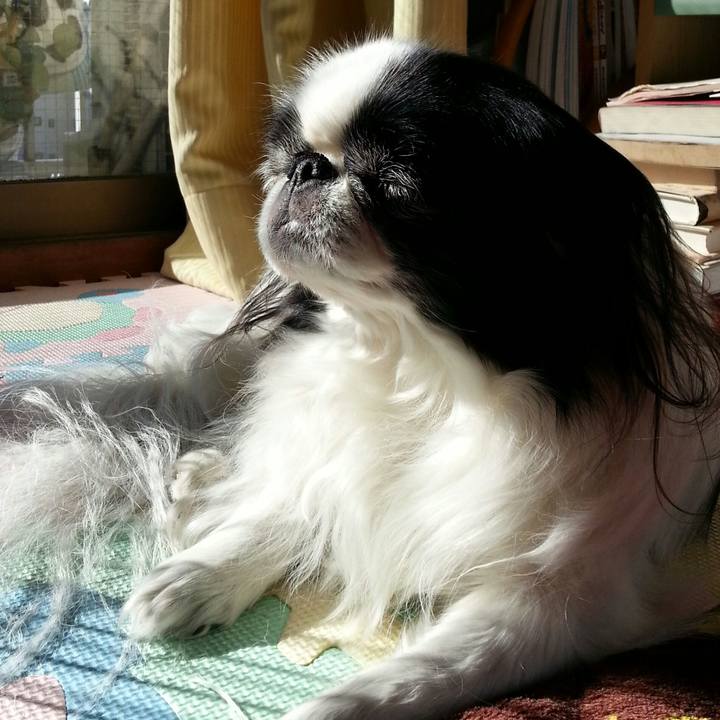 C37ec880 e44c 428e 90bb 0c5be0e80d71