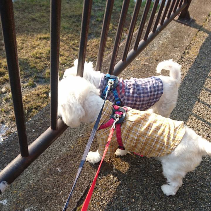 C37f781a 69f8 4a87 ae8d cd0209947962