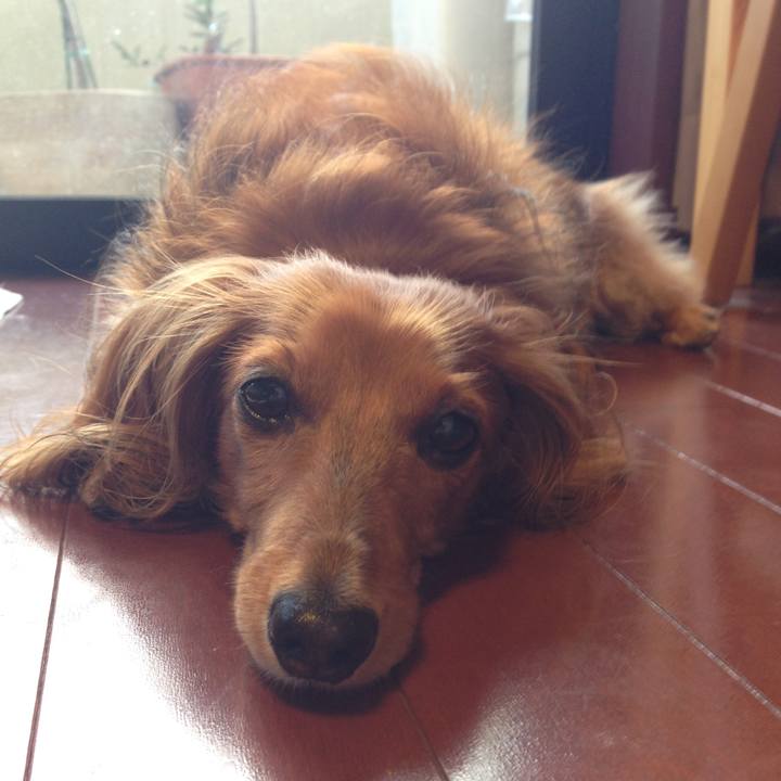 C37f99d4 66e2 4c0d bc0e c15a263749c6