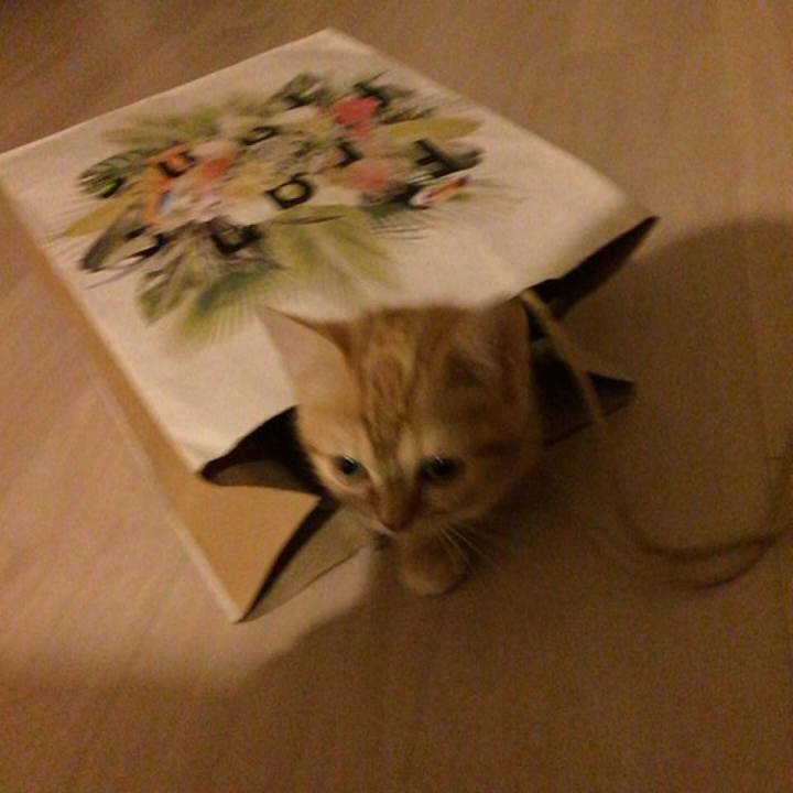 C37fb16e 6576 499c ad7b 6eb177029d51