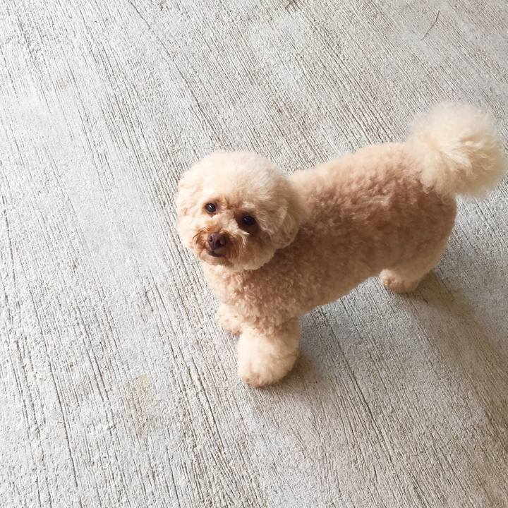 C38084d2 e6c5 4a4e 81dd 620f07b7a58f