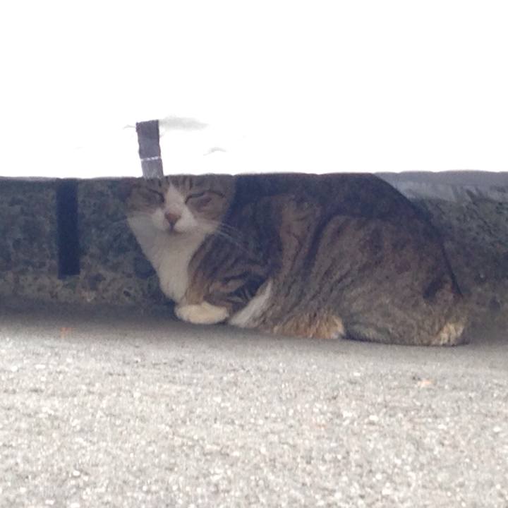 C381daed 5b3a 4aa1 8ca1 7c747439bc6c