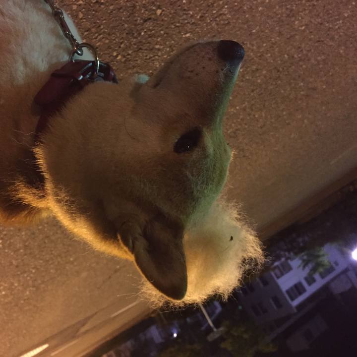 C38205a4 77dd 486a 9859 78e28515ce32