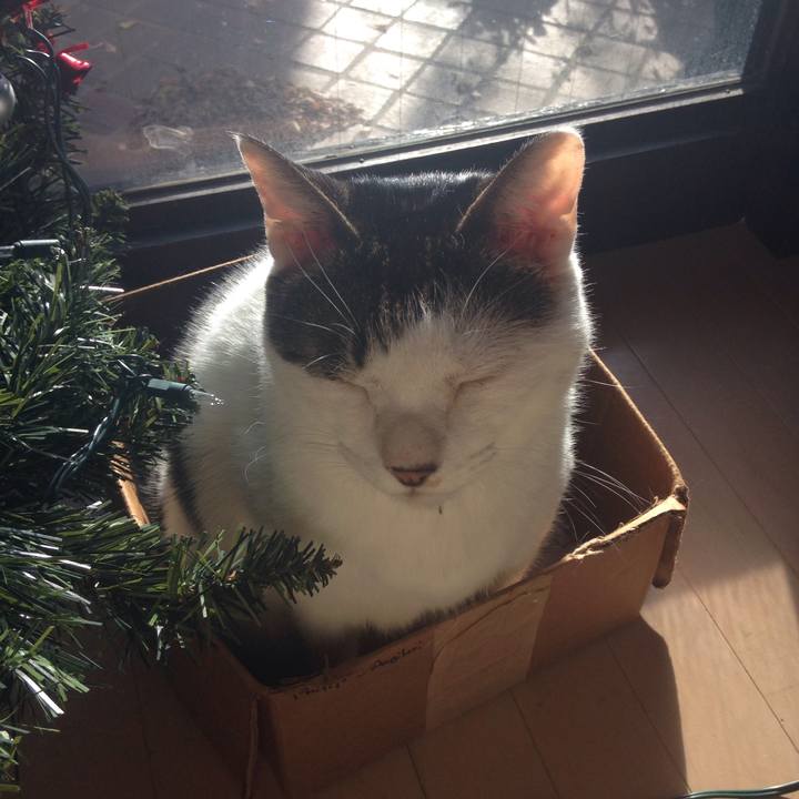 C3821043 e301 47ea 96e6 52221354a204