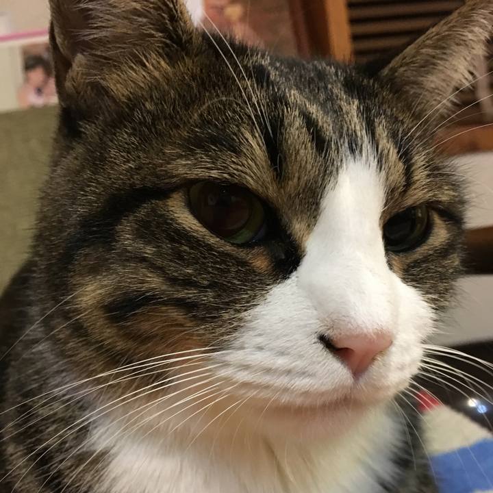 C3823ecc 700a 4863 ba40 6e71e108bef3