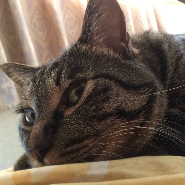 C38260a6 58d6 4d9c a886 220840d36cab