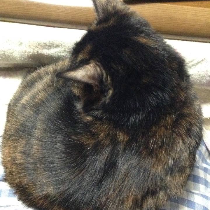 C38329d3 b7fb 44b5 b529 d35cd92acb67