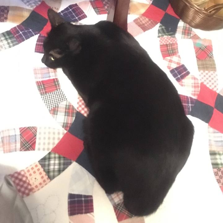 C3839e98 bf24 4860 ba74 e5cb50dd654f