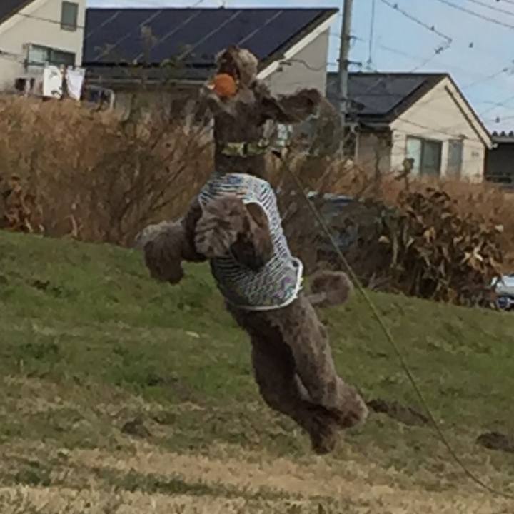 C383cd89 b376 4a46 a461 393d77cb38ae